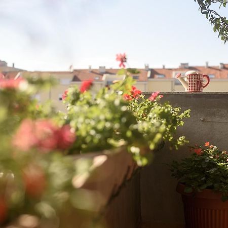 Basic Apartman Apartment Zadar Exterior photo